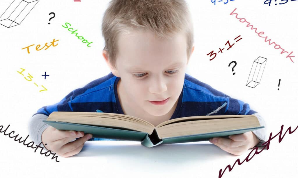 Why You Should Consider Homeschooling 2