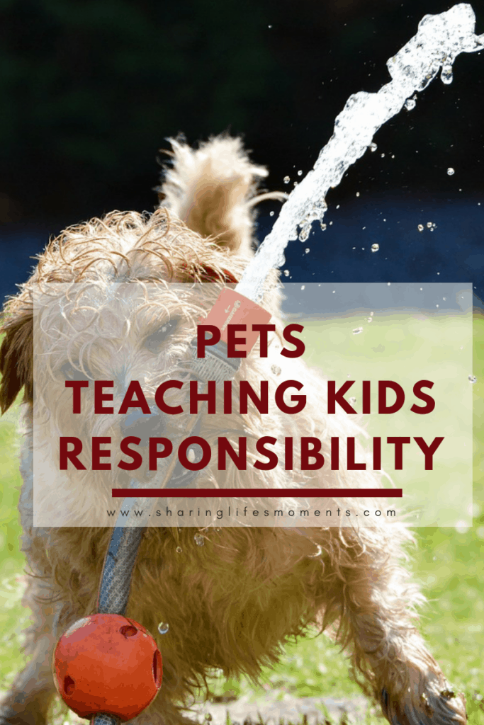 pets-teaching-kids-responsibility-sharing-life-s-moments