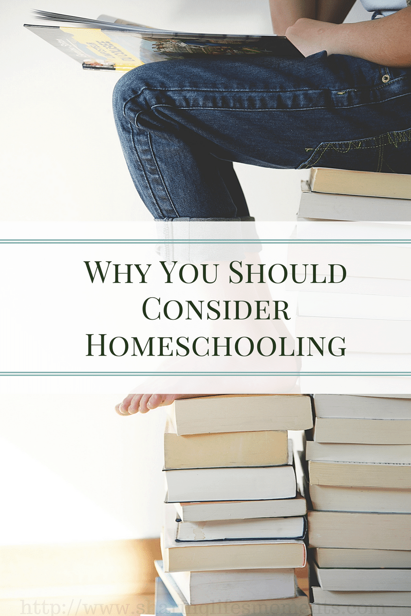 Why You Should Consider Homeschooling - Homeschooling is becoming popular for a solid set of reasons. See why I feel you should consider it as an option. 