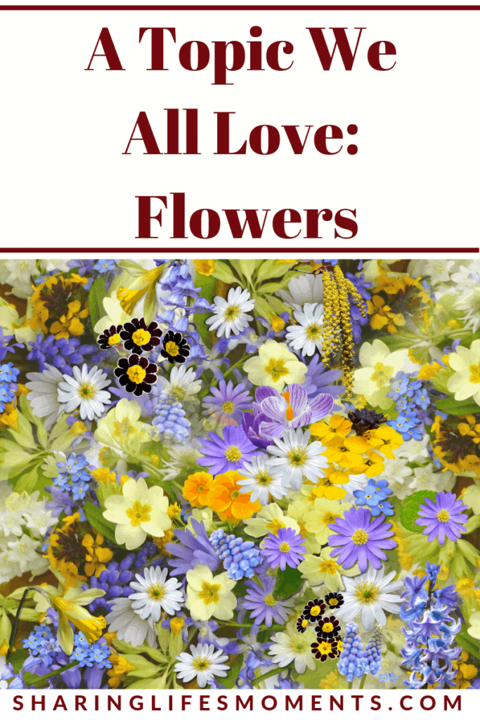 A Topic We All Love: Flowers 1 Flowers have so many different meanings. Find out what some of them mean and how to use them properly as gifts here.
