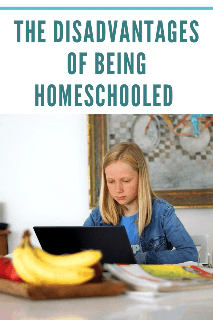 essay about homeschooling disadvantages