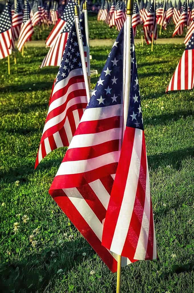 How Sharing Your Veteran's Story Can Ignite Hope for Generations 2 How Sharing Your Veteran's Story Can Ignite Hope for Generations 2