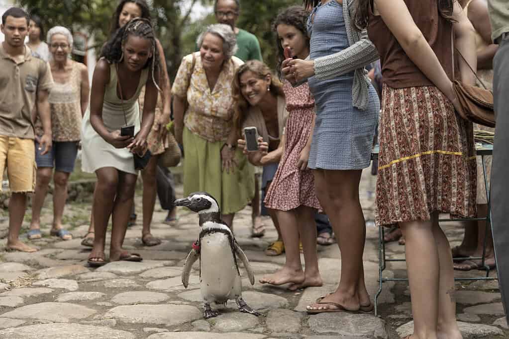 My Penguin Friend Movie Review 3 My Penguin Friend Movie Review 3