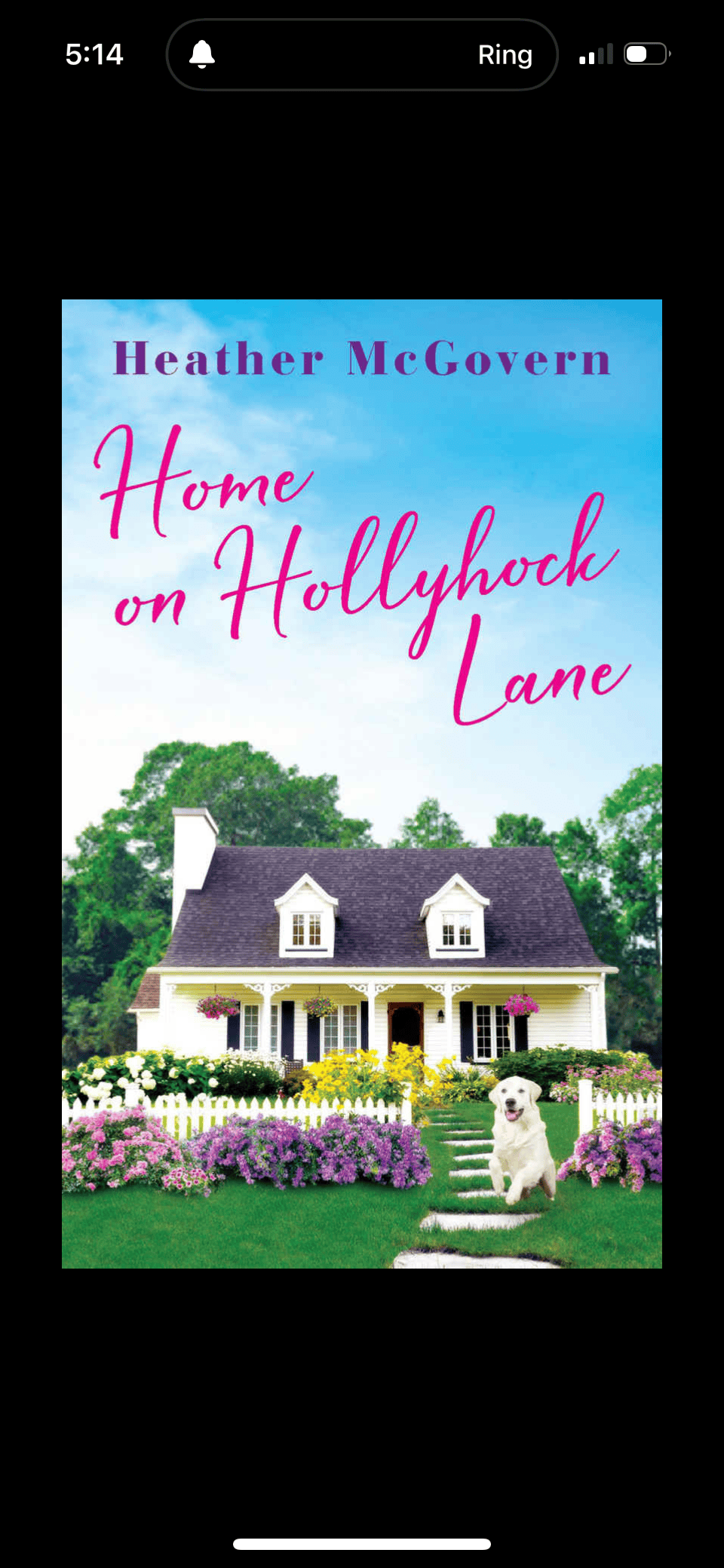Come see why the Home on Hollyhock Lane book is a small-town romance you'll want to add to your to-read list. Check out my review for more details.
