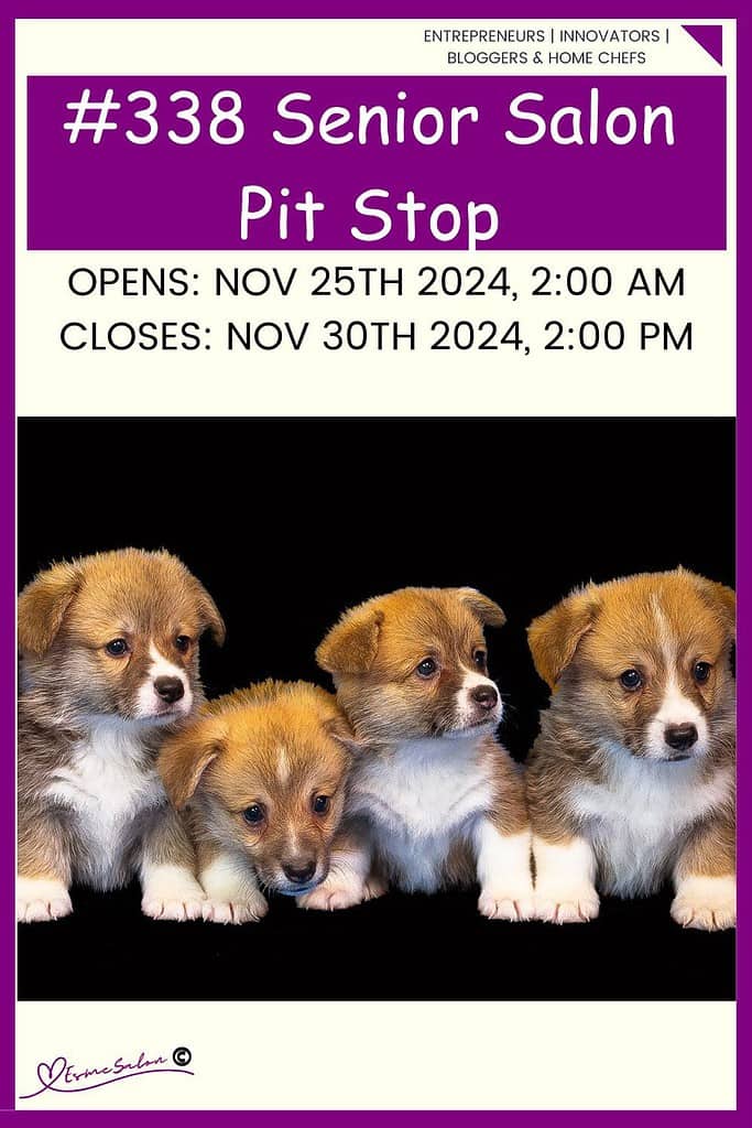 InLinkz 338 Senior Salon Pit Stop 1 Come hang out at the fabulous InLinkz 338 Senior Salon Pit Stop for an adventure you won’t forget! Check out our new posts. #linkyparty #seniorsalonpitstop #bloggersconnecting