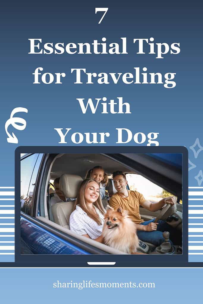 Traveling with your dog? Find essential tips and advice to make trips safe and fun for both of you. Make unforgettable memories together on the road!