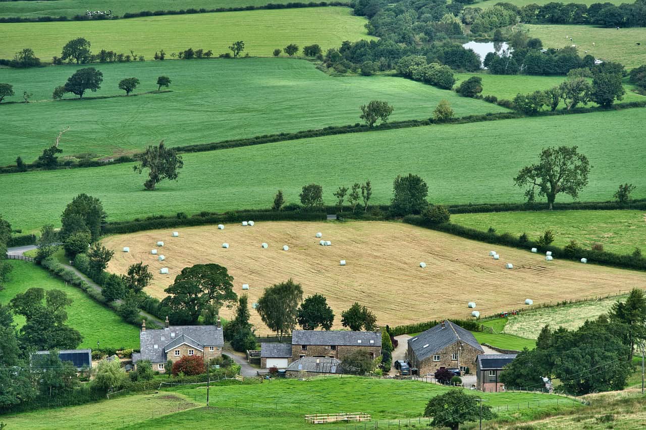 Explore top resources for building and expanding your farm. Discover expert tips, tools, and guides to enhance your agricultural success and sustainability. 🌾🚜