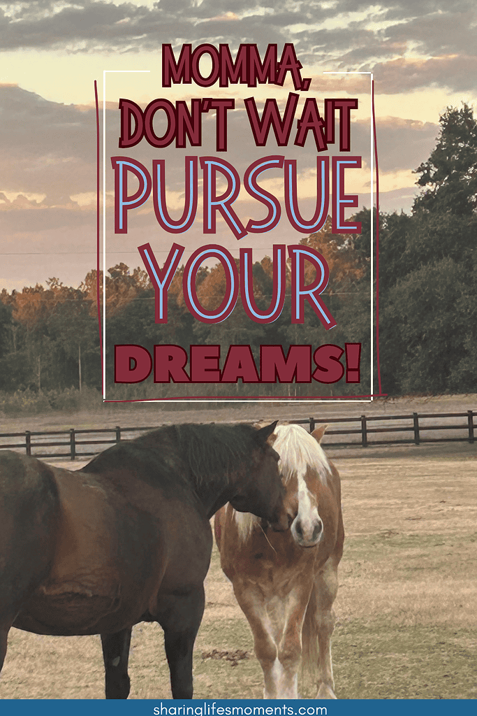 Momma, Don't Wait to Pursue Things You Love 2 Momma, Don't Wait to Pursue Things You Love 2